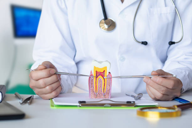 Best Dentist for Tooth Abscess  in Reed City, MI